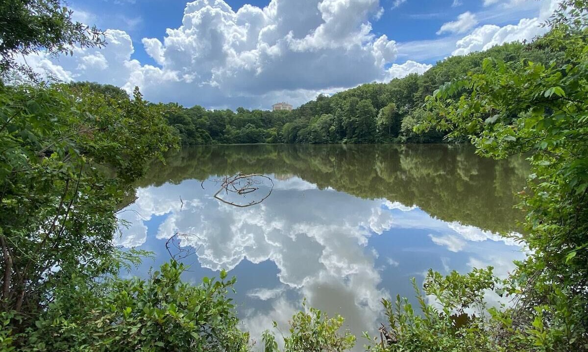 Photo of Others in East Side