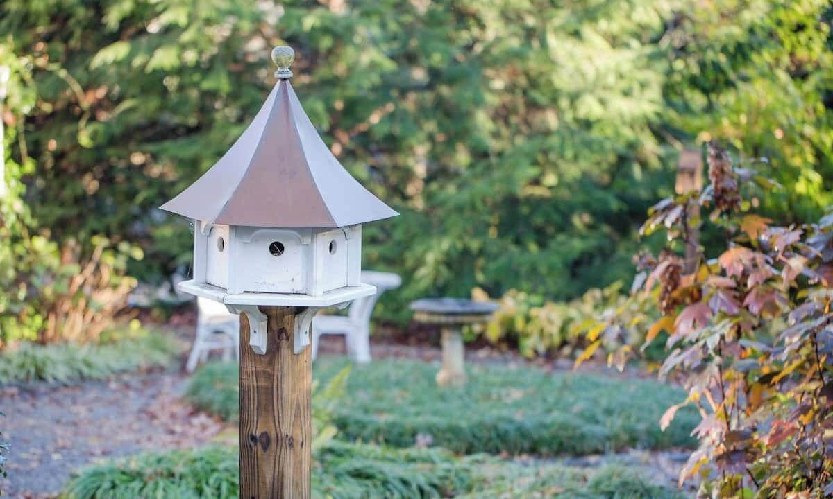 Photo of Outdoor in East Side