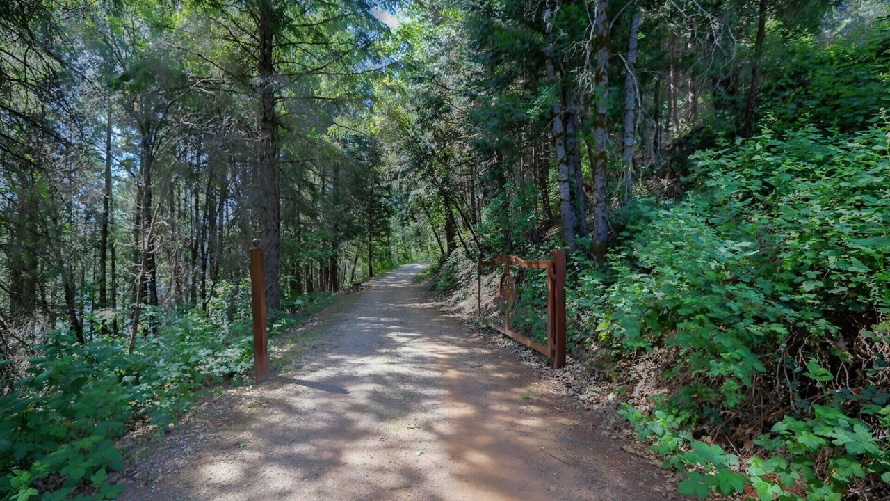 Photo of Outdoor in Chicago Park