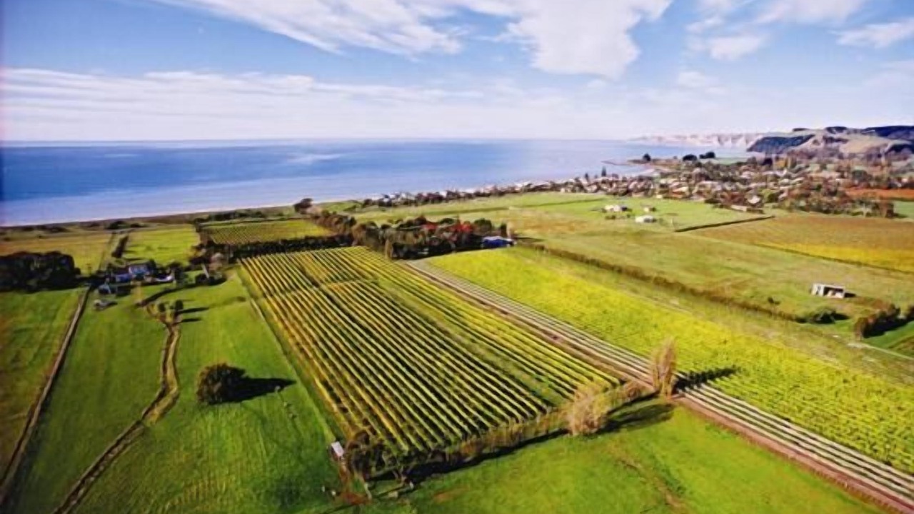 Photo of Others in Te Awanga