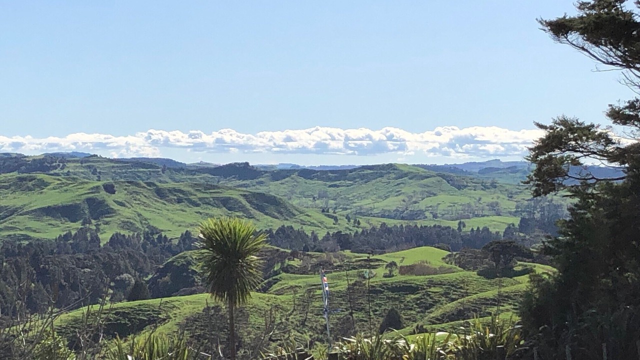 Photo of Others in Te Akau