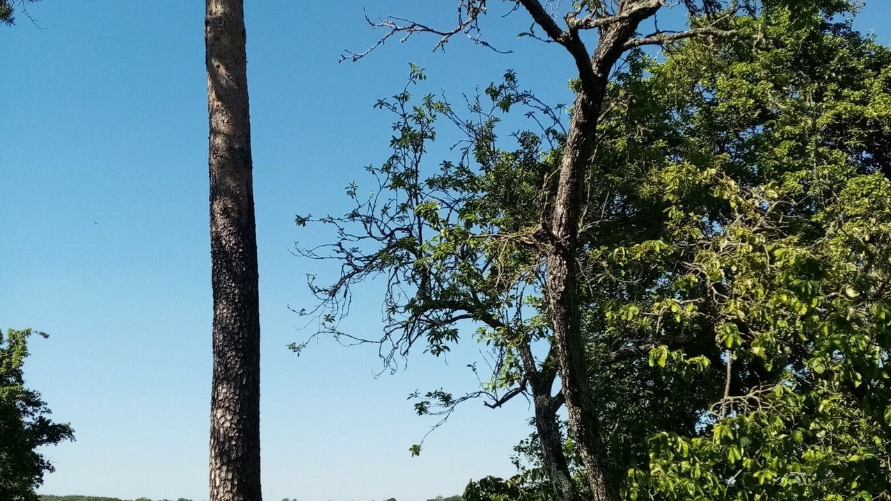 Photo of Outdoor in Le Cercueil