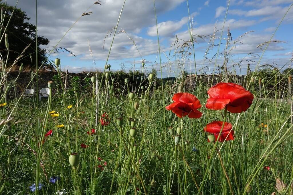 Photo of Outdoor in Le Cercueil