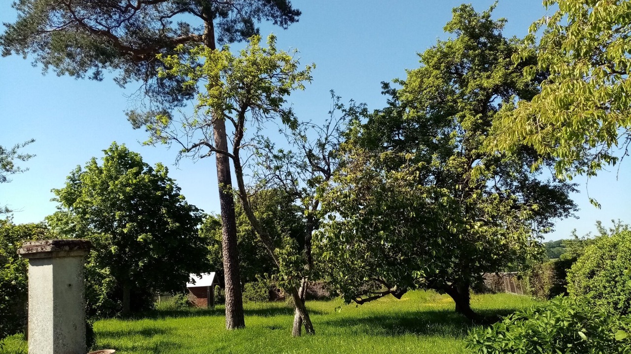 Photo of Outdoor in Le Cercueil