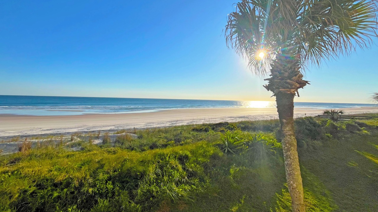 Photo of Others in Crescent Beach