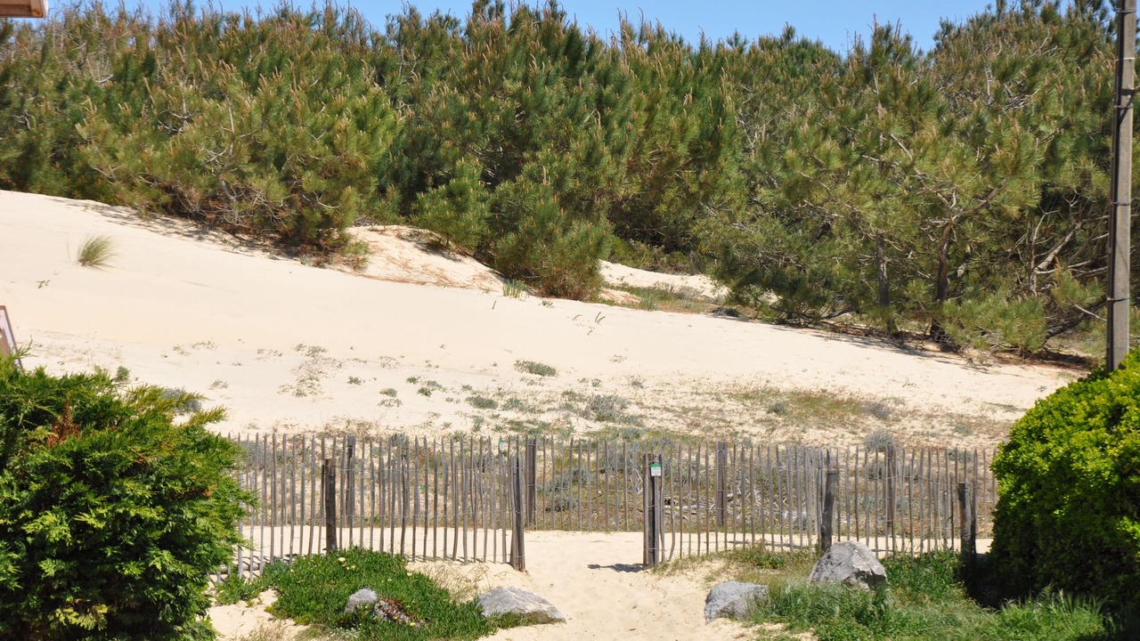 Photo of Outdoor in Mimizan-Plage