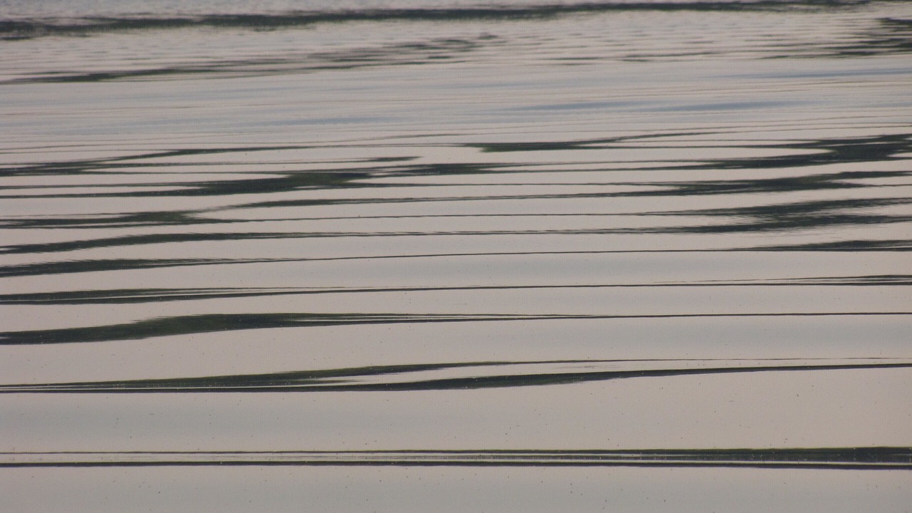 Photo of Others in Lake Nebagamon