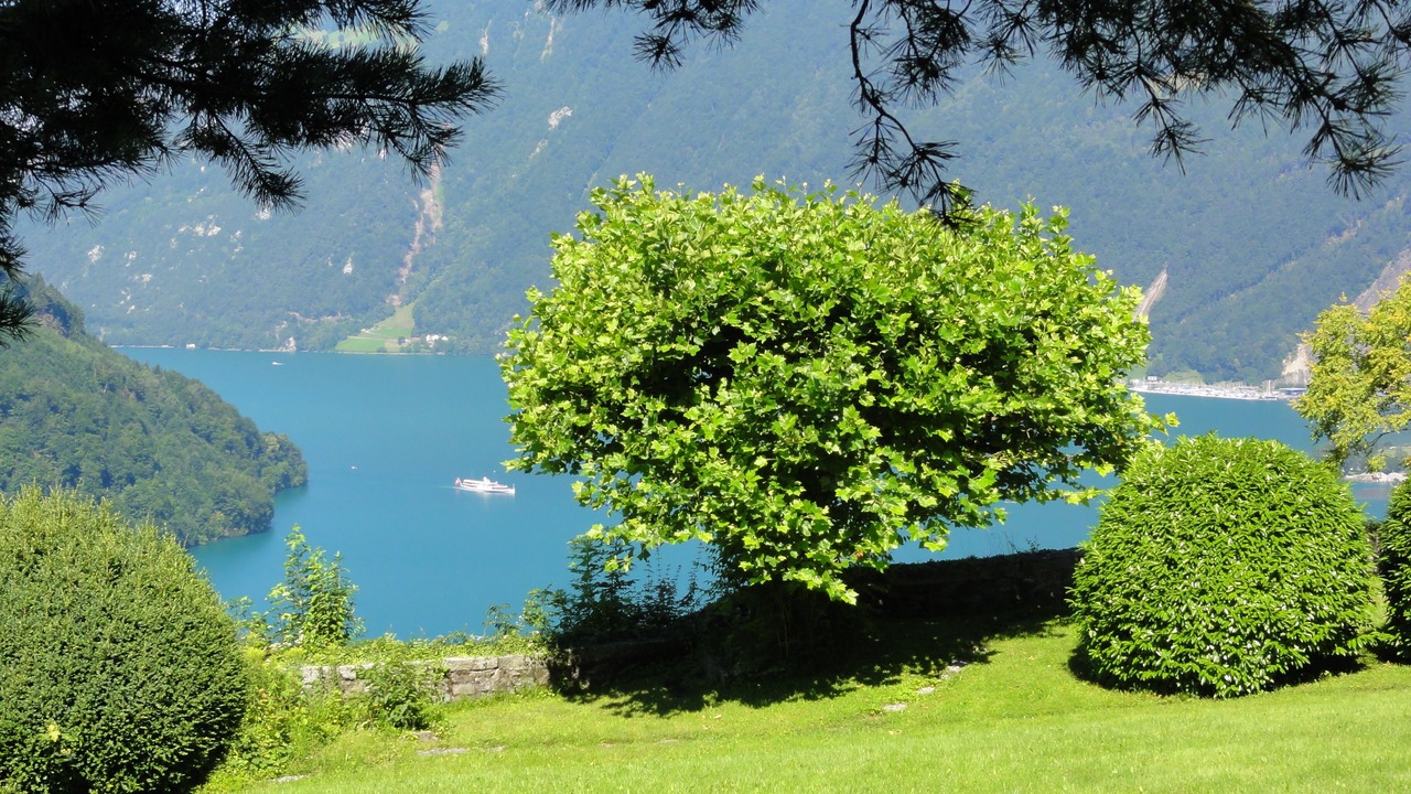 Photo of Outdoor in Ruetli
