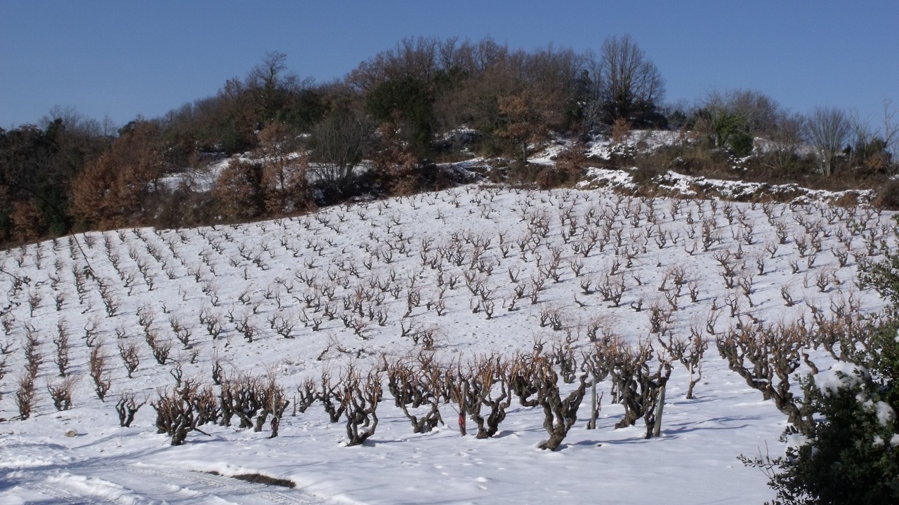 Photo of Others in Quintillan