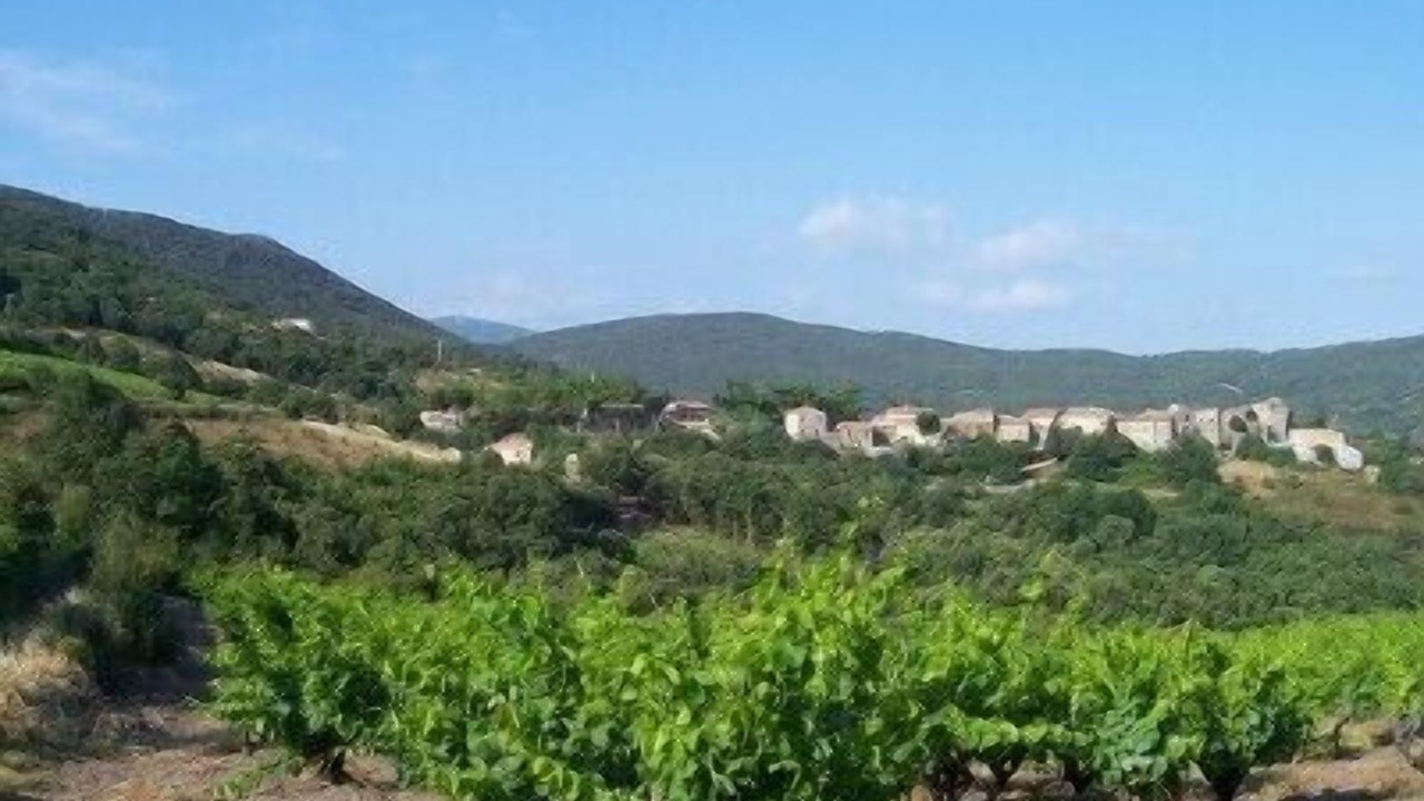 Photo of Outdoor in Quintillan