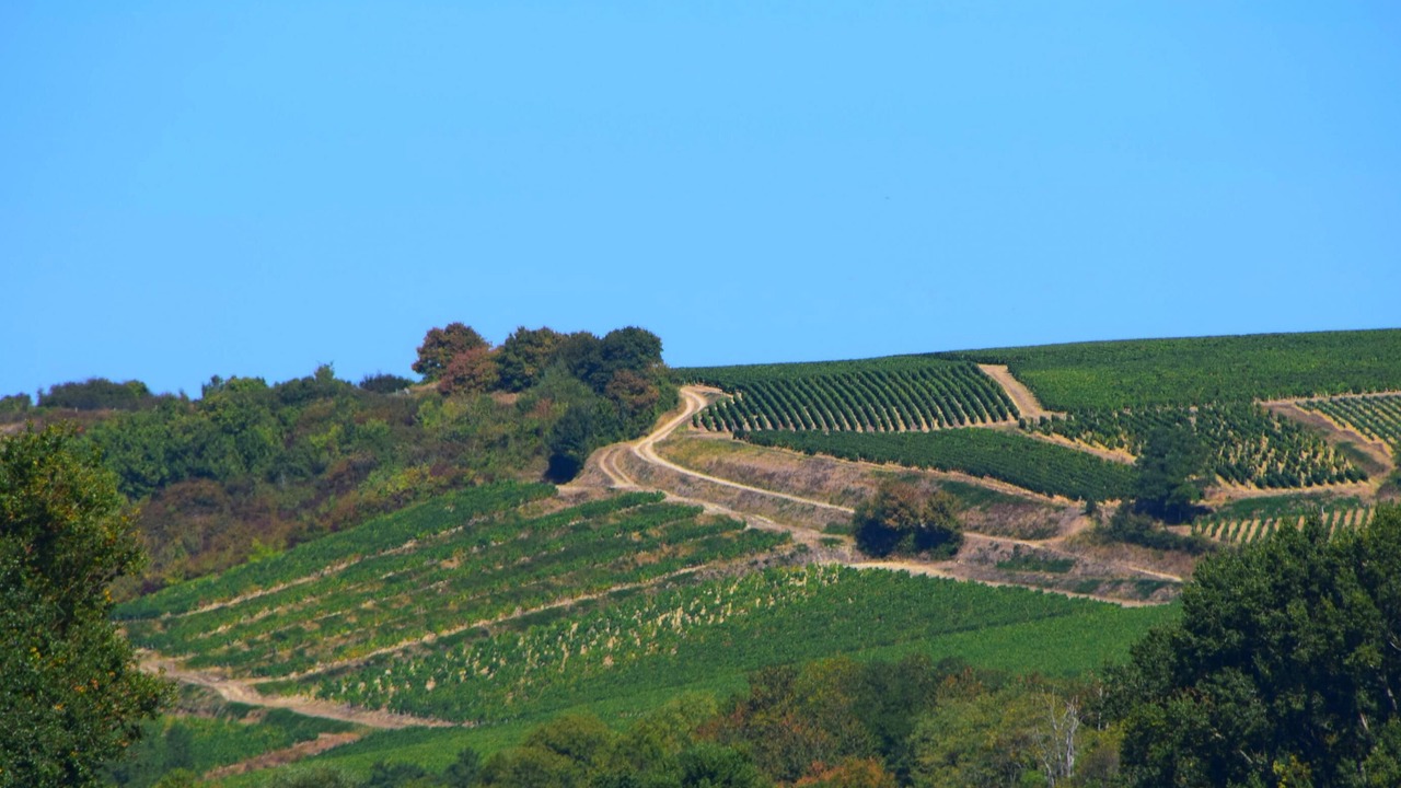 Photo of Outdoor in Pouilly-sur-Loire