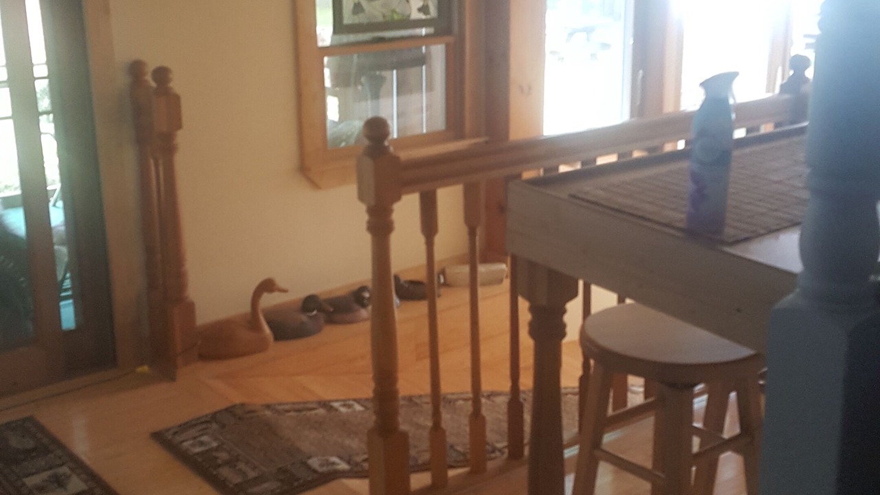 Photo of Others in York