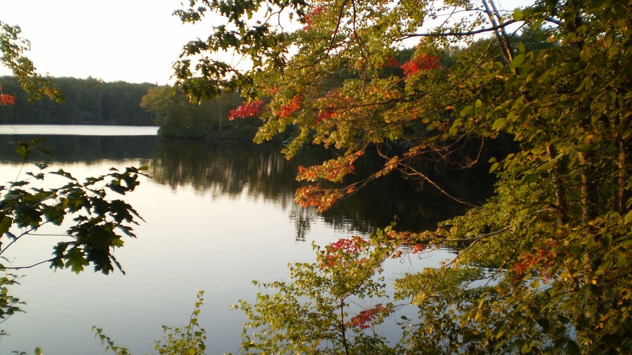 Photo of Outdoor in York