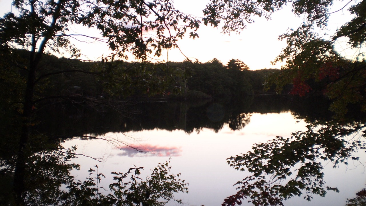 Photo of Others in York