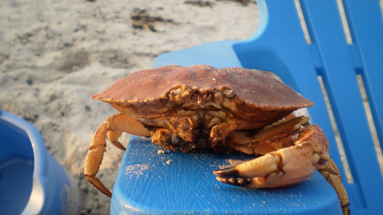 Photo of Outdoor in York