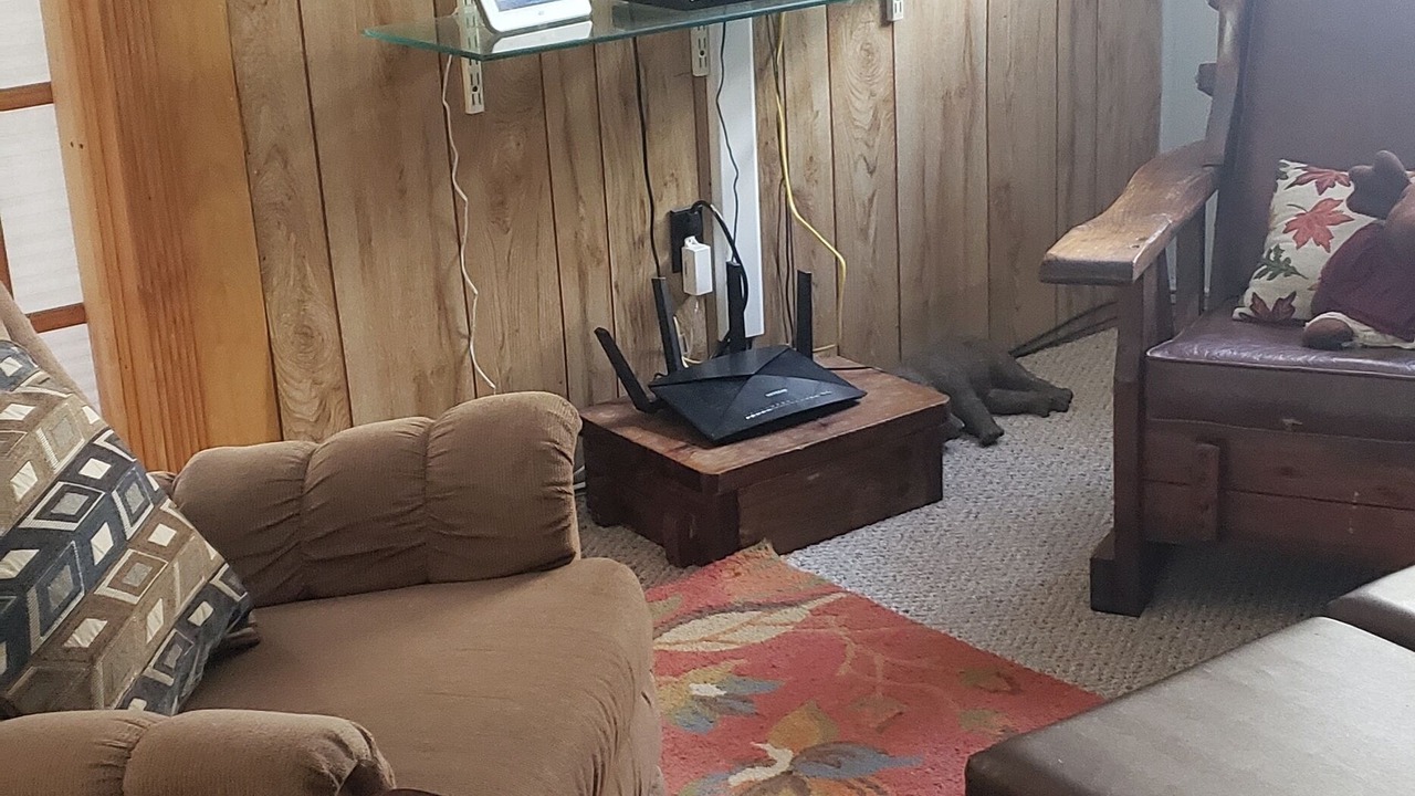 Photo of Others in York