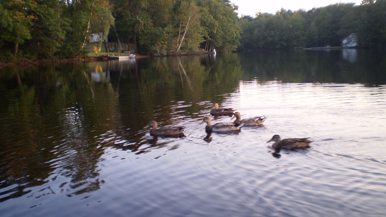Photo of Outdoor in York