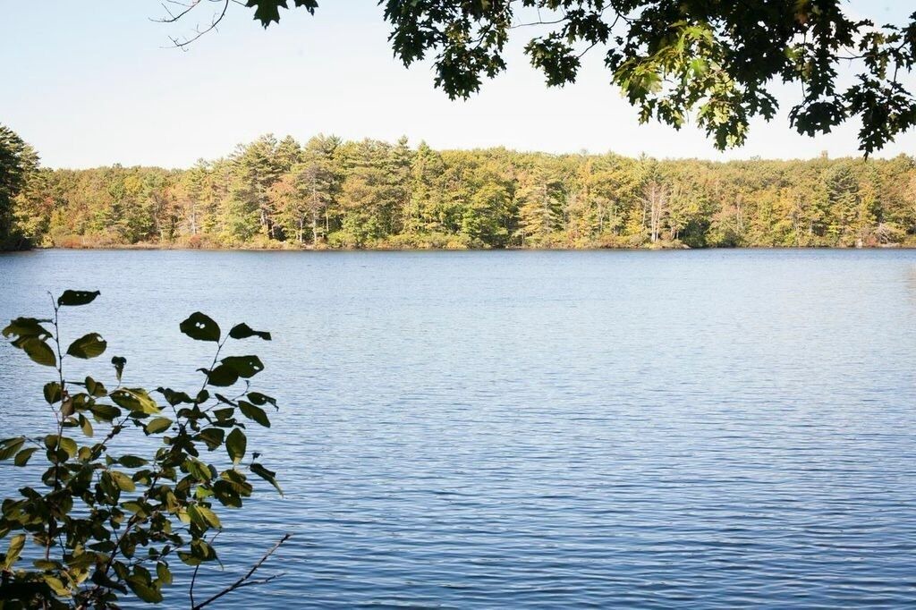 Photo of Others in York