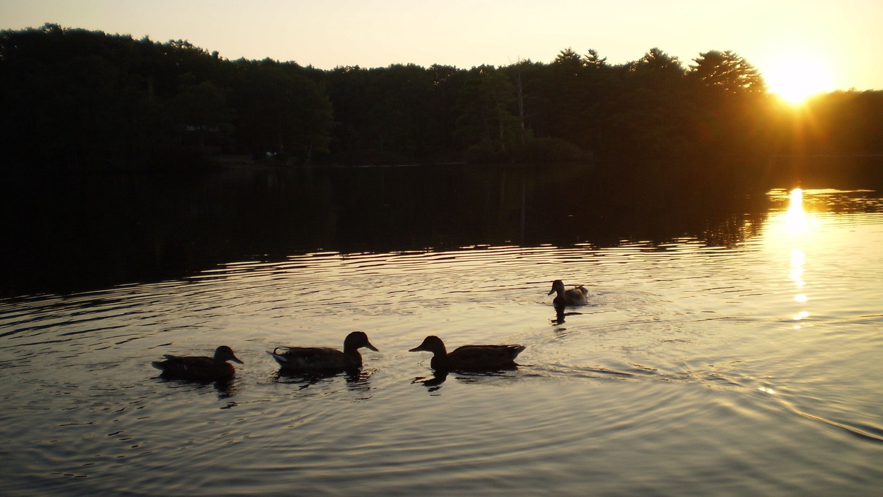 Photo of Outdoor in York