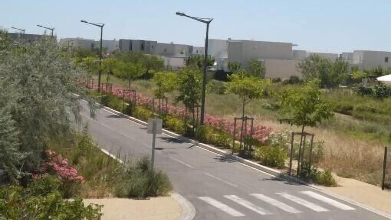 Photo of Others in Sete