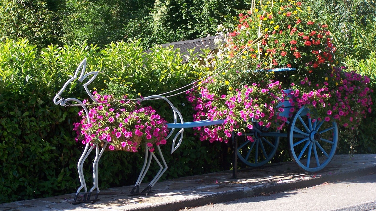 Photo of Outdoor in Lathuile