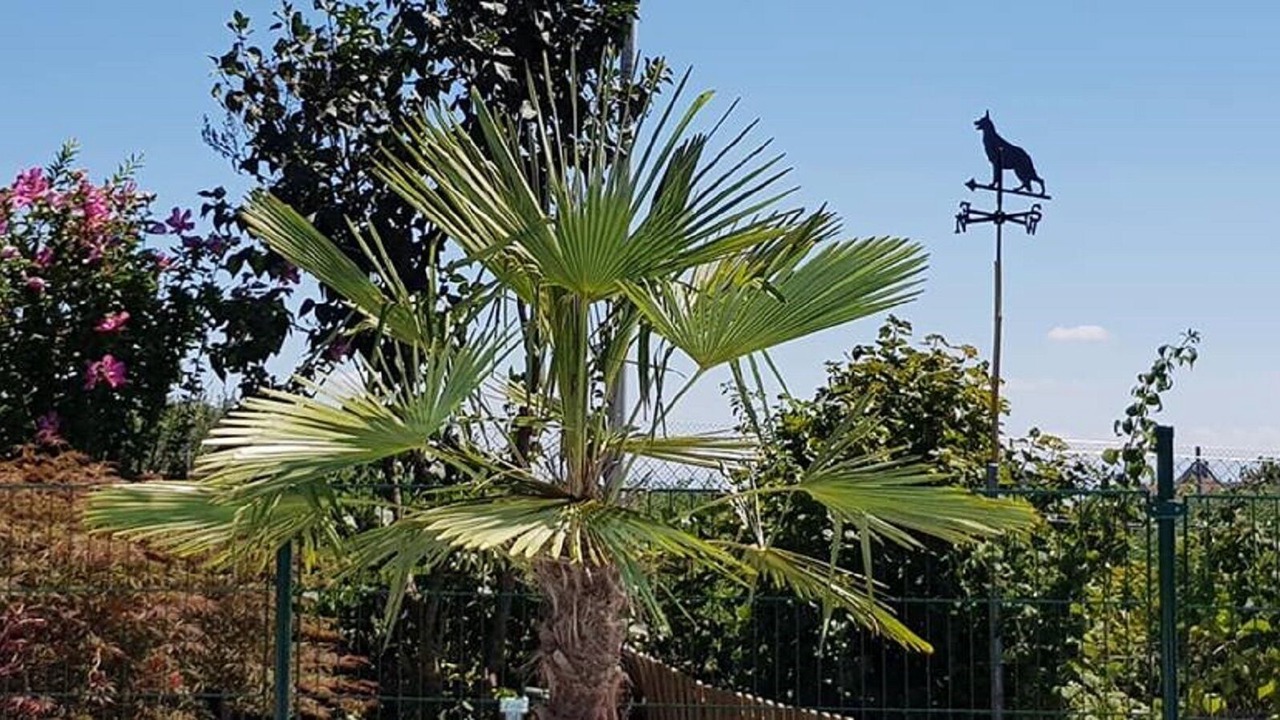 Photo of Outdoor in Bevaix