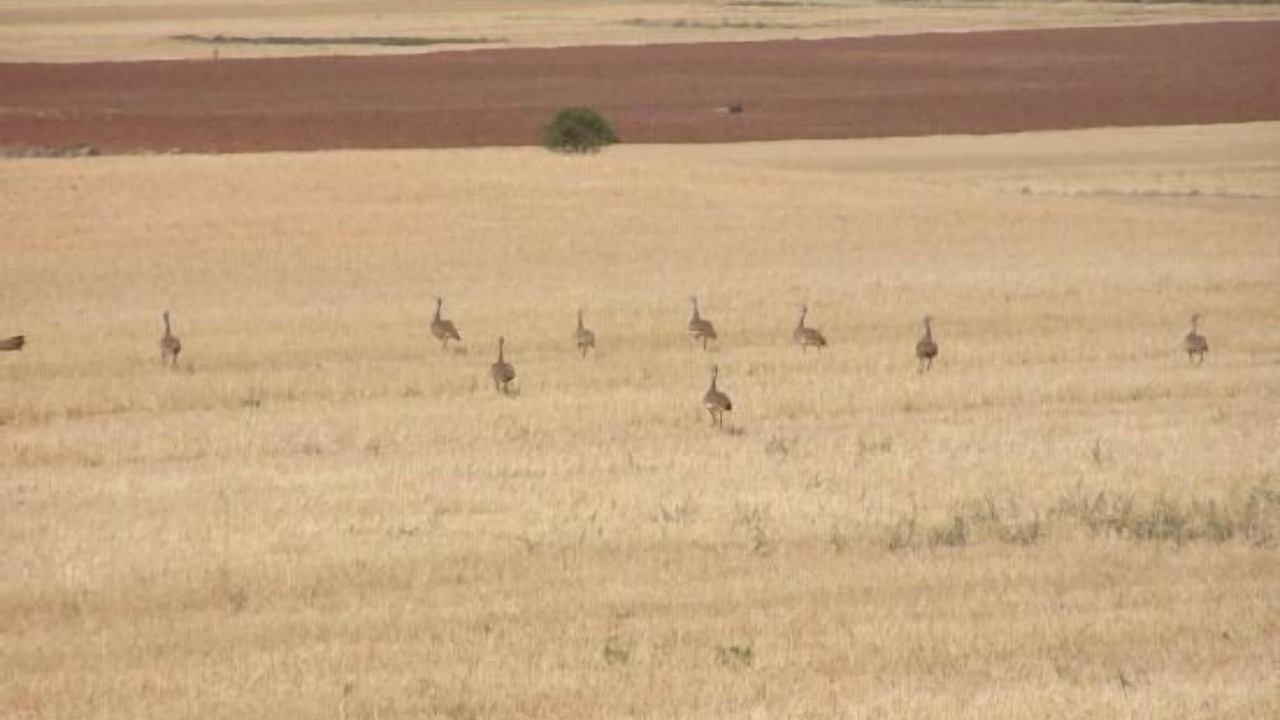 Photo of Others in Sisante