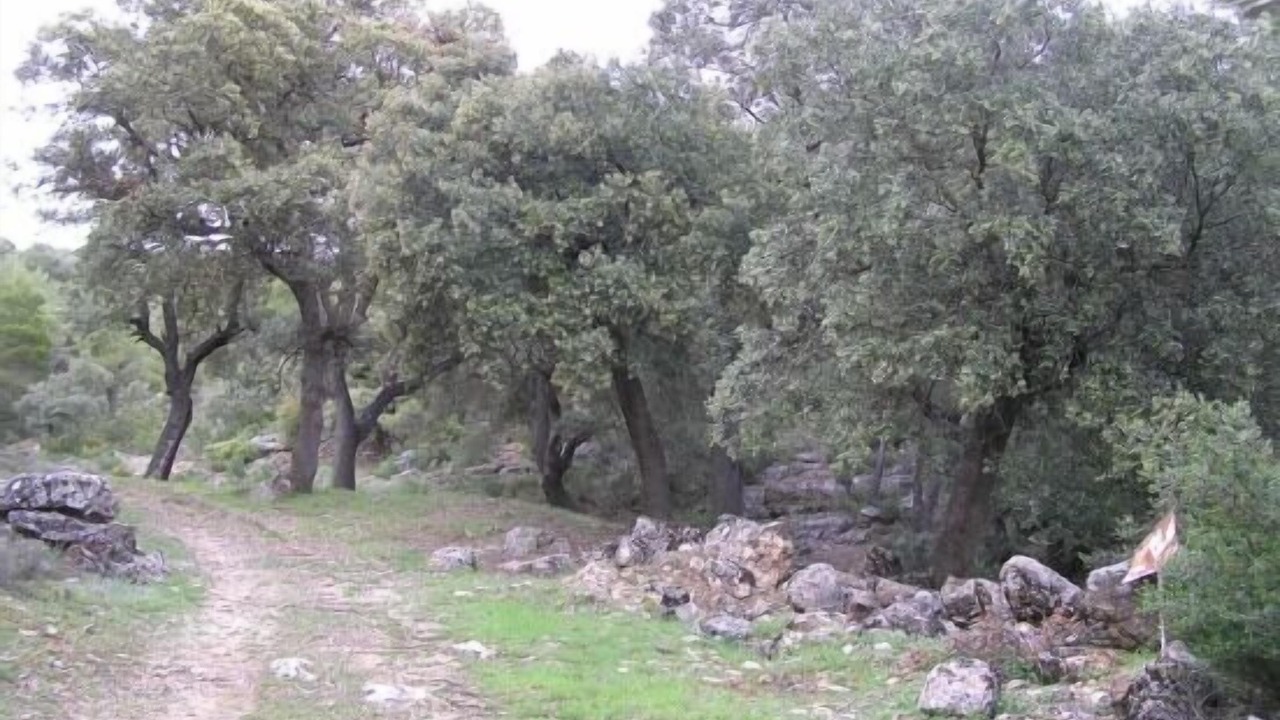 Photo of Outdoor in Sisante