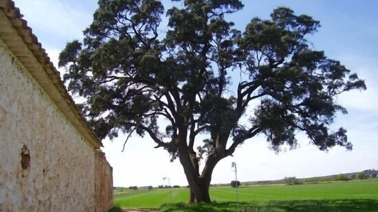 Photo of Outdoor in Sisante