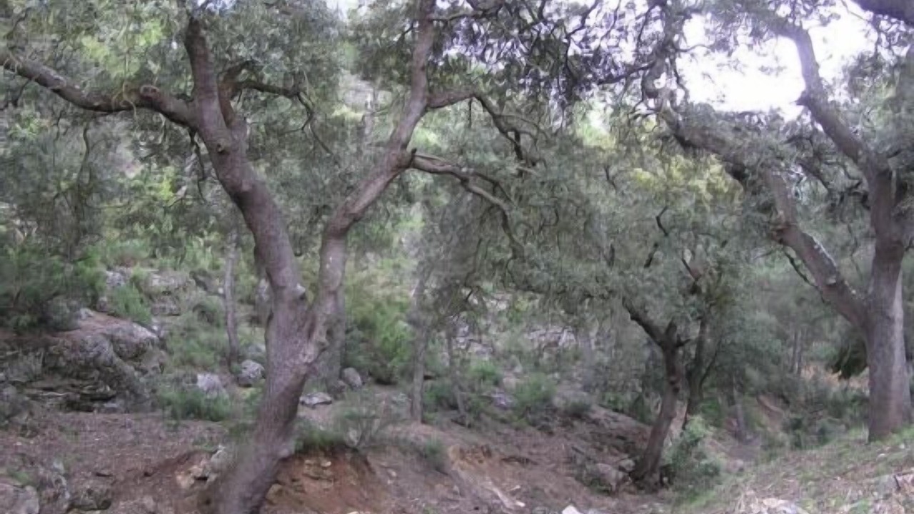 Photo of Outdoor in Sisante