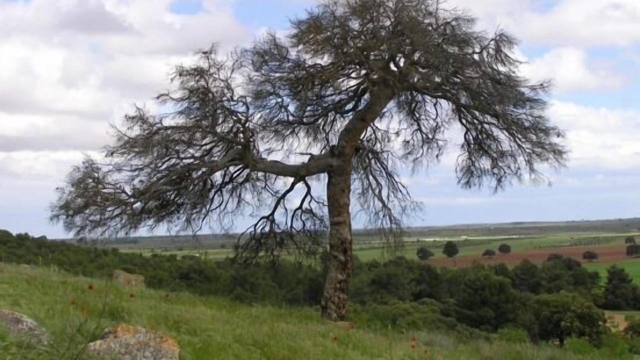 Photo of Outdoor in Sisante