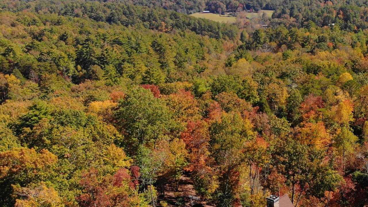 Photo of Others in Hidden Lake