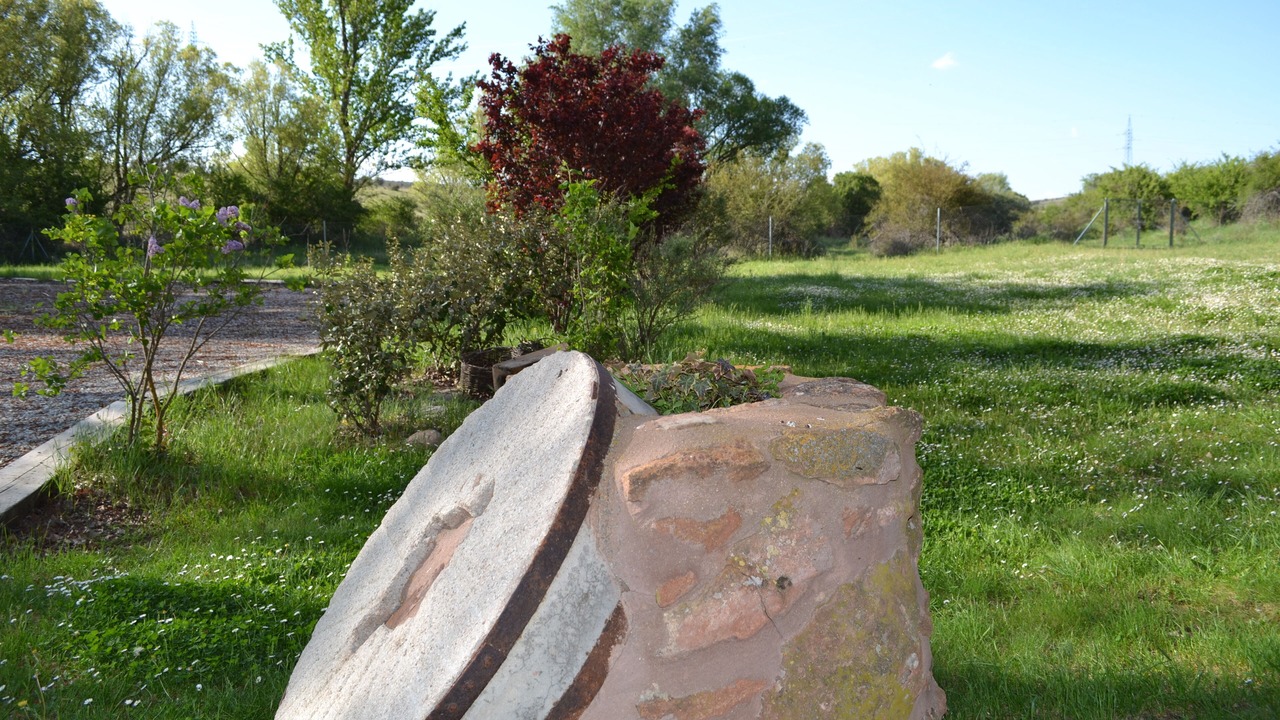 Photo of Outdoor in La Minosa