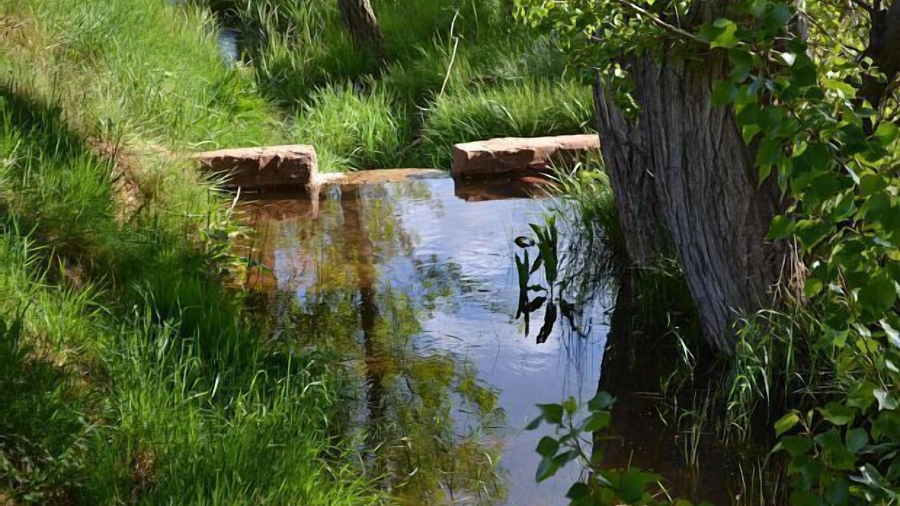 Photo of Outdoor in La Minosa
