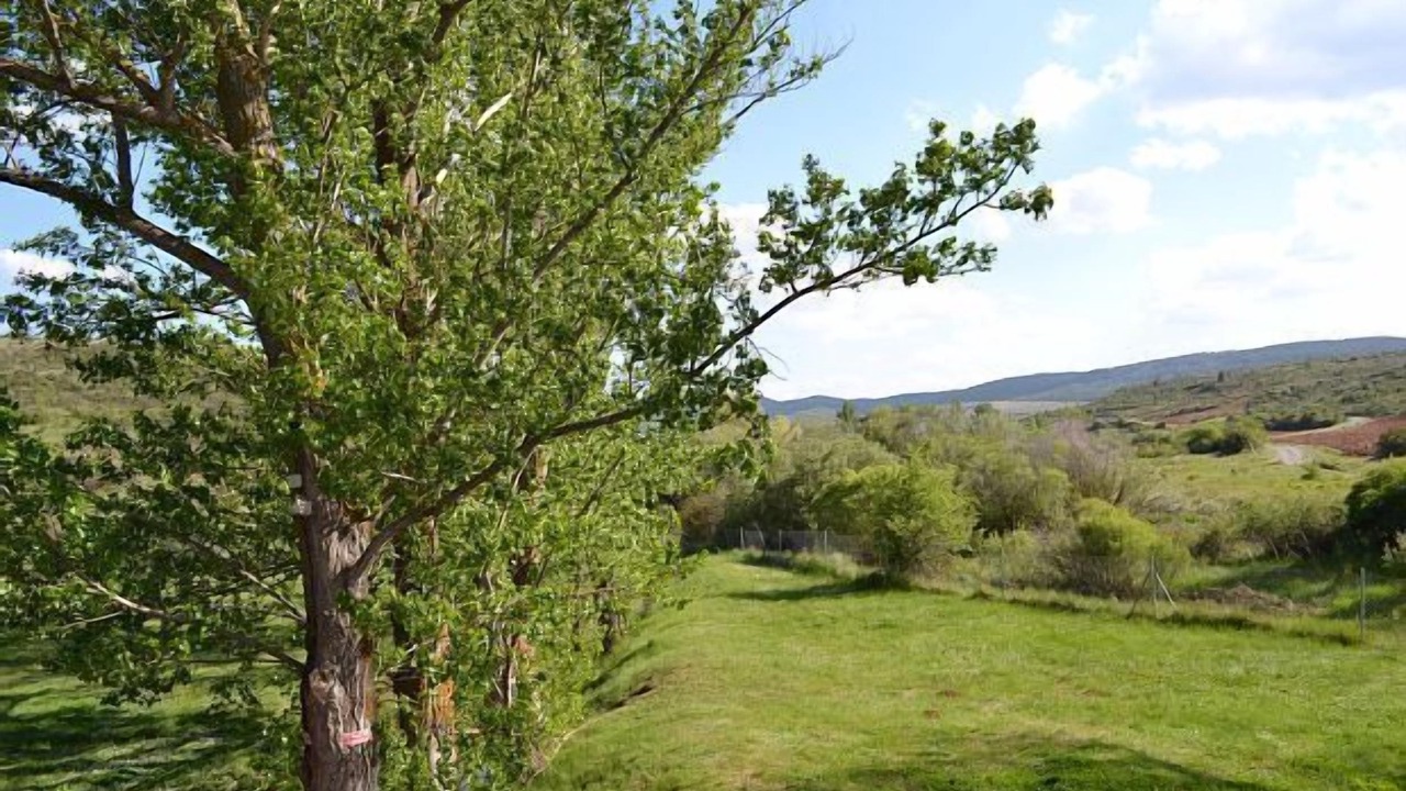 Photo of Outdoor in La Minosa