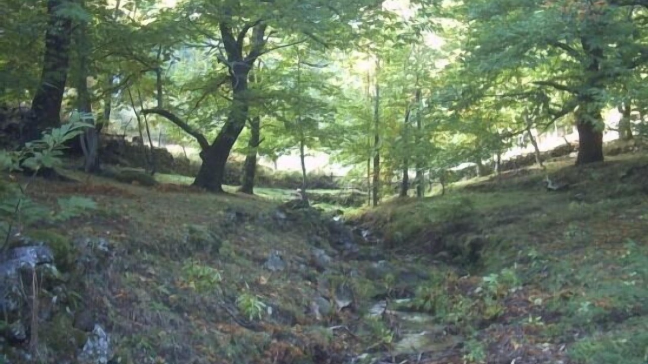 Photo of Outdoor in Mombeltran