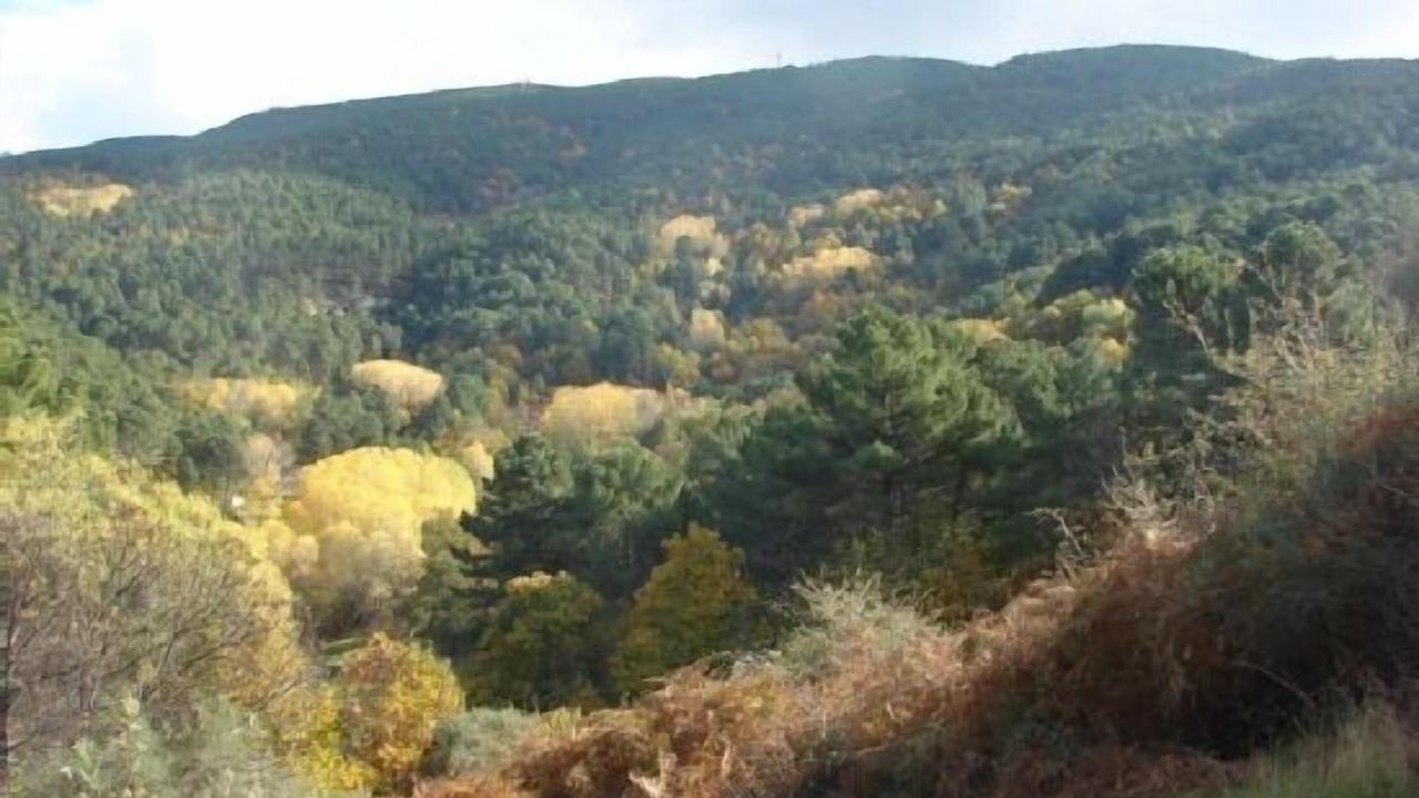 Photo of Outdoor in Mombeltran