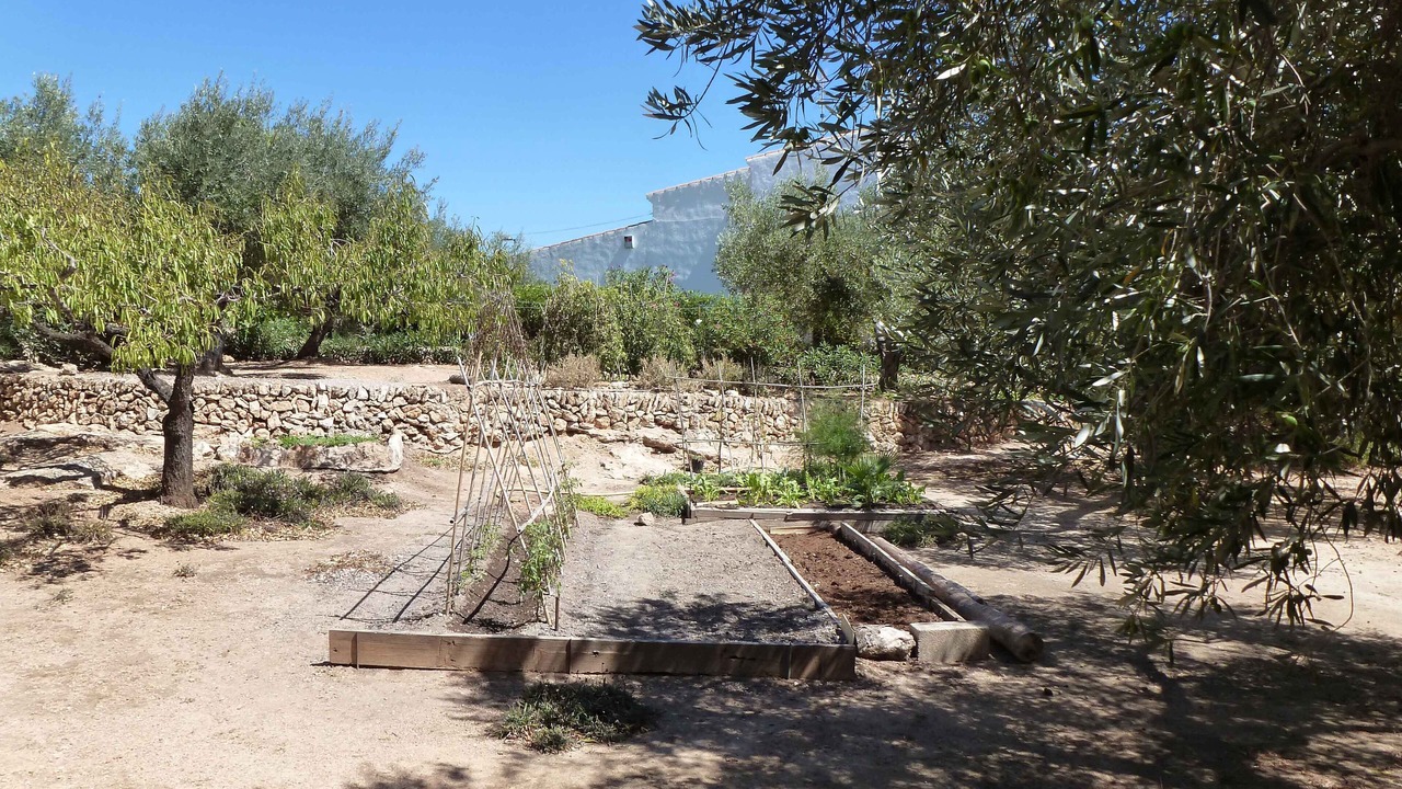 Photo of Outdoor in L'Ampolla