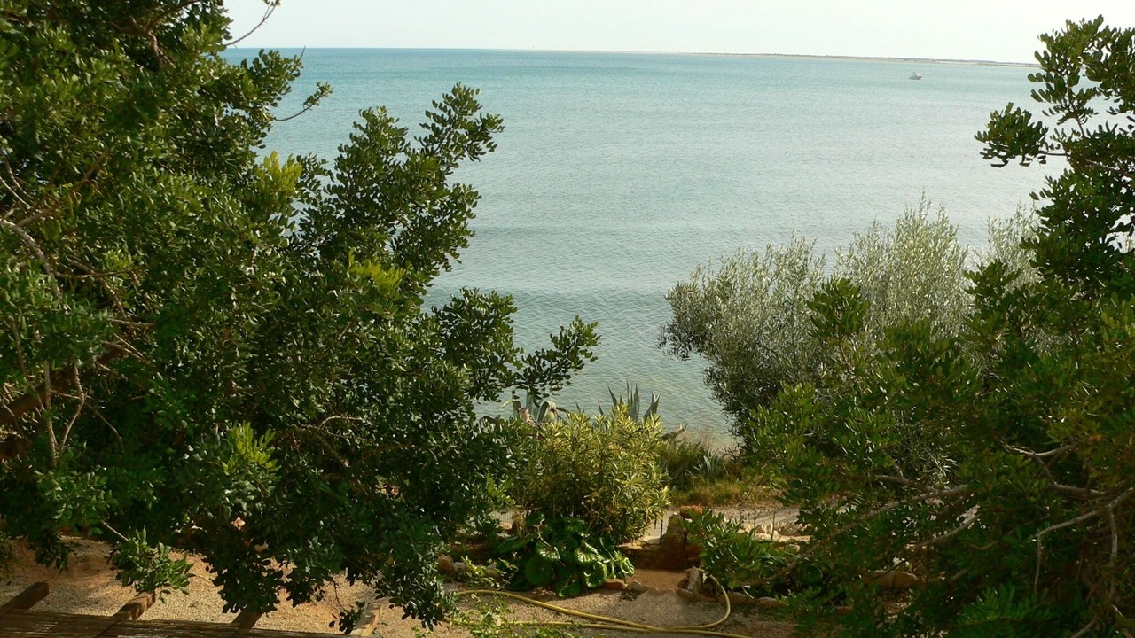 Photo of Outdoor in L'Ampolla
