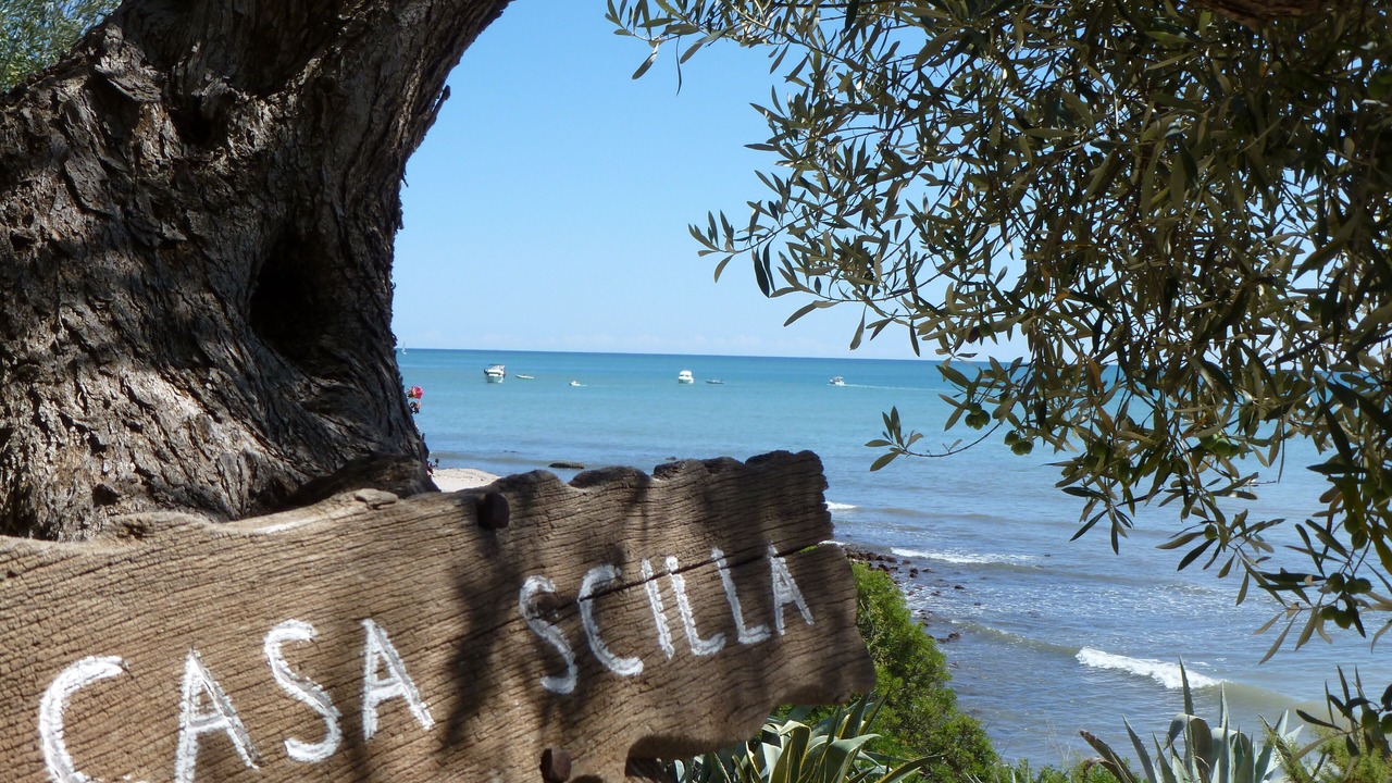Photo of Others in L'Ampolla