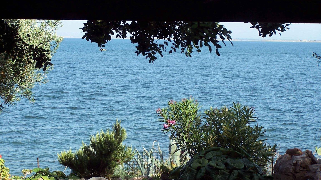 Photo of Others in L'Ampolla