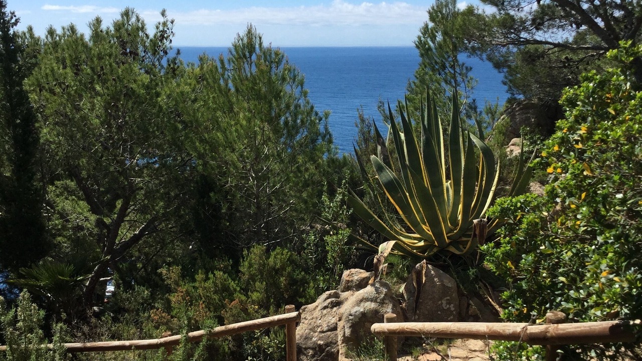 Photo of Outdoor in Tamariu