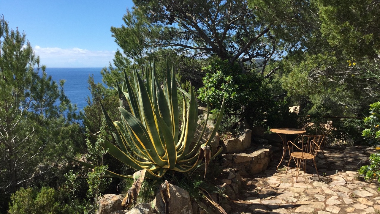 Photo of Outdoor in Tamariu