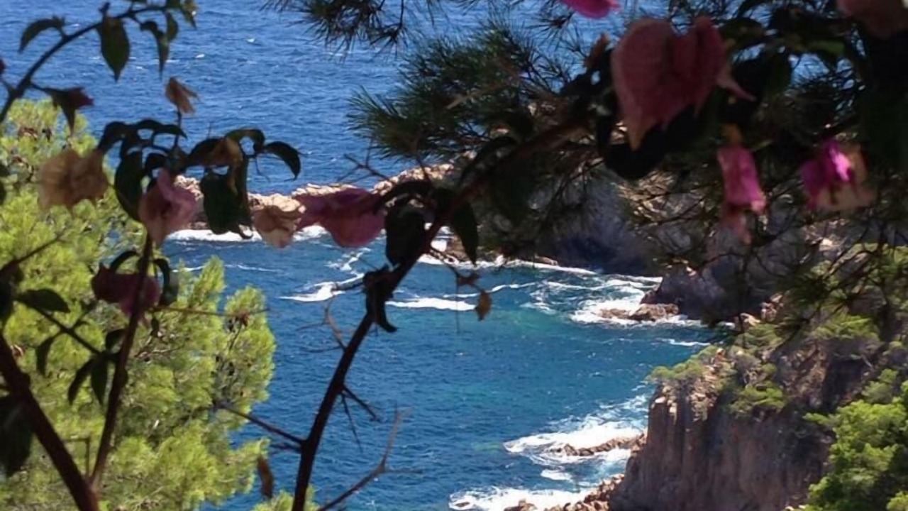 Photo of Outdoor in Tamariu