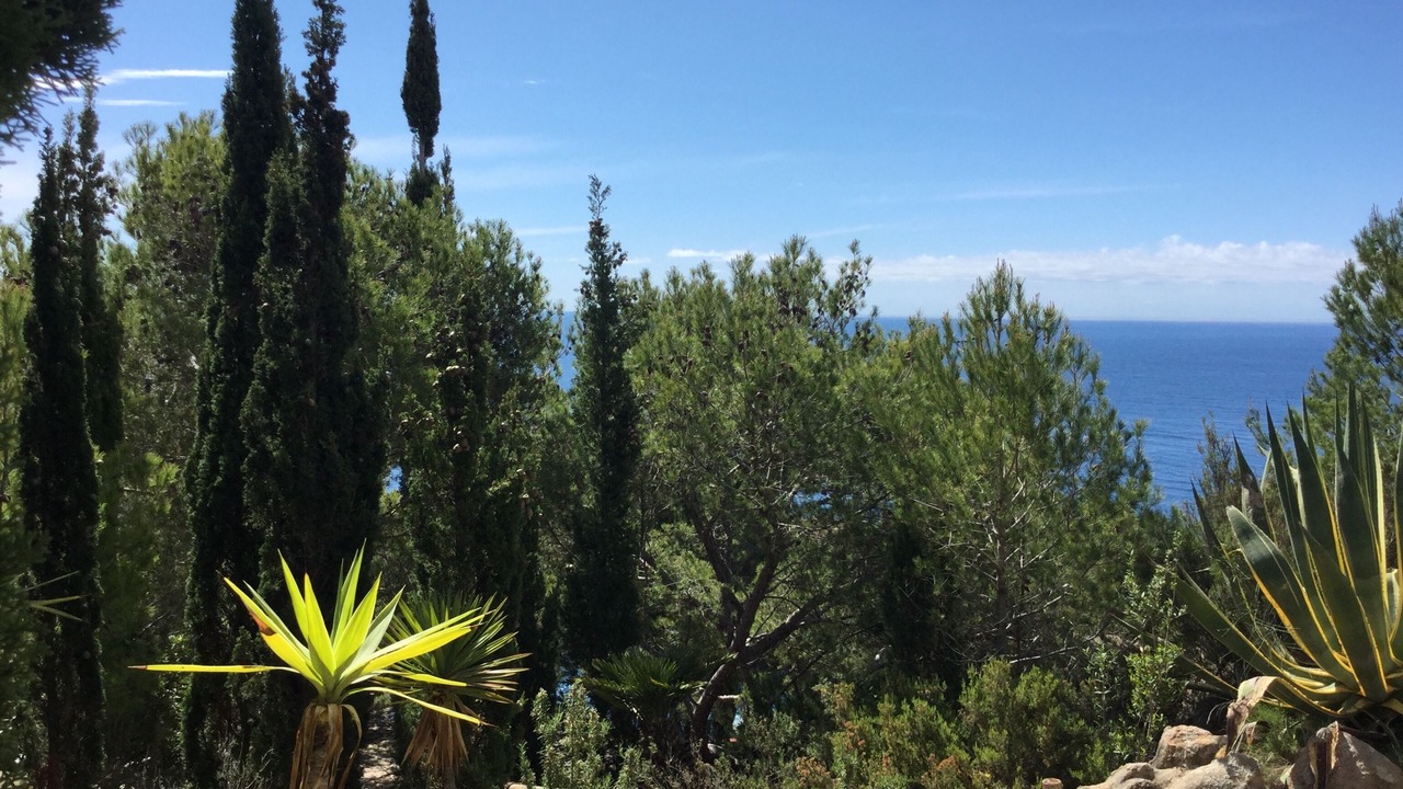 Photo of Outdoor in Tamariu