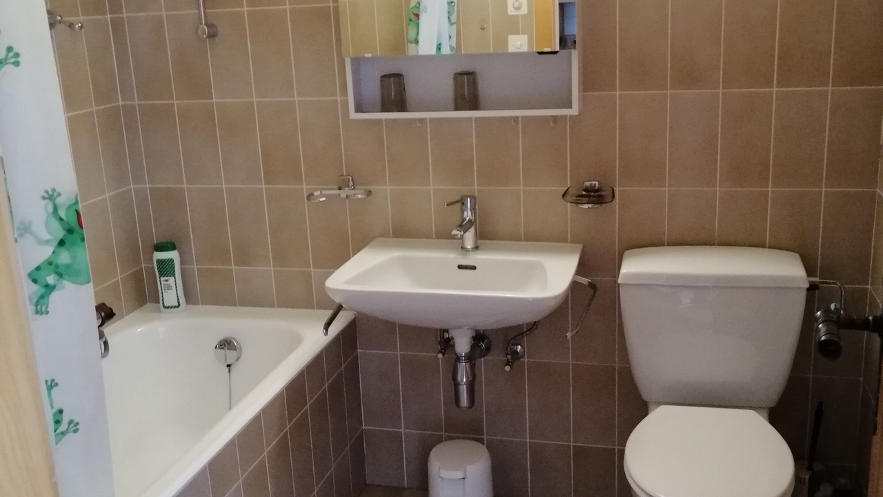 Photo of Bathroom in Saint-Pierre-de-Clages