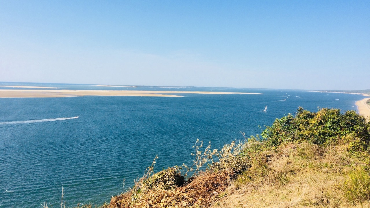 Photo of Others in Gujan-Mestras