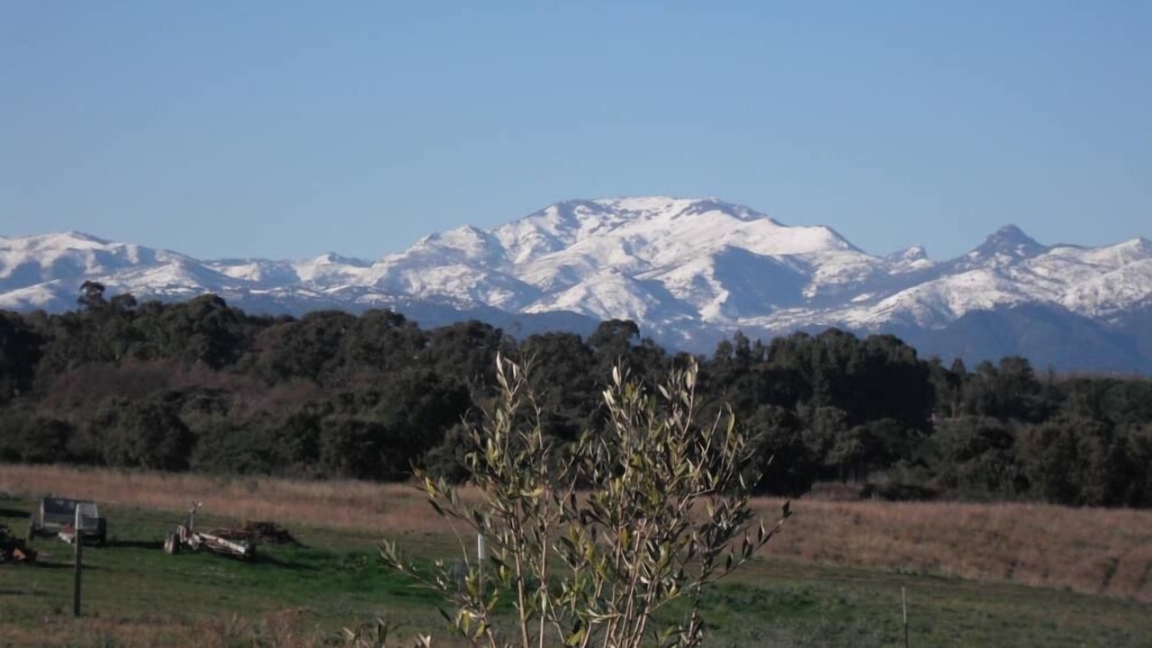Photo of Outdoor in Aleria