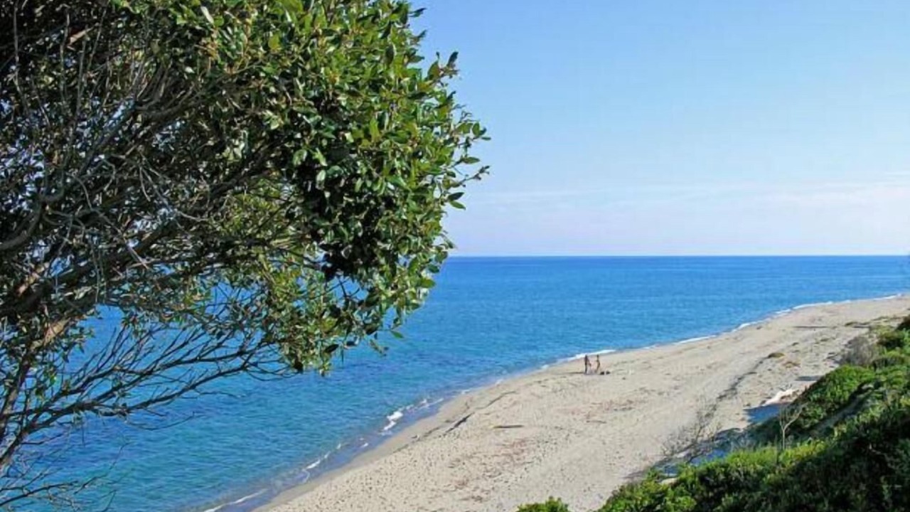 Photo of Others in Aleria