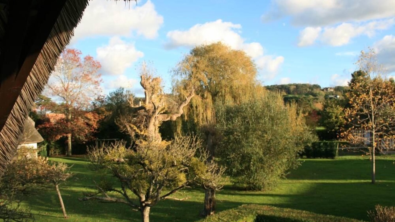 Photo of Outdoor in Tourgeville